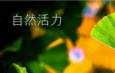 微信截图_20190525141329.png