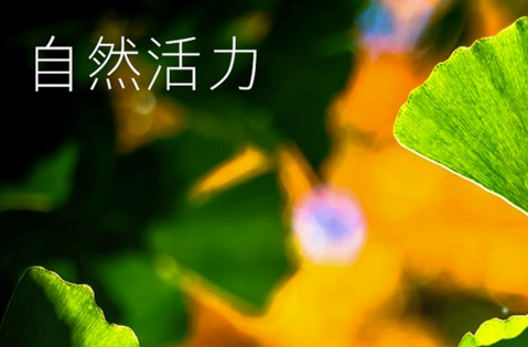 微信截图_20190727162841.png